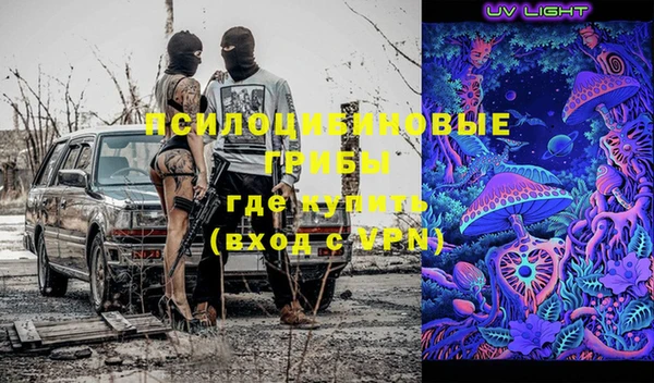 дживик Алексин