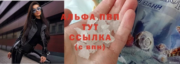 spice Алзамай