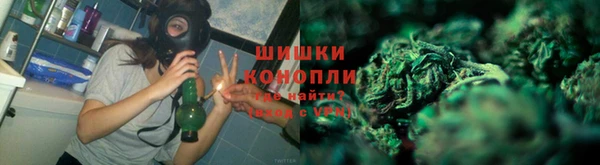 spice Алзамай